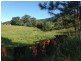 Lot 1 Shephards Lane, Coffs Harbour NSW 2450