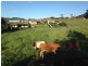 Lot 1 Shephards Lane, Coffs Harbour NSW 2450