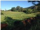 Lot 1 Shephards Lane, Coffs Harbour NSW 2450