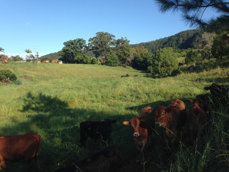 Lot 1 Shephards Lane, Coffs Harbour NSW 2450