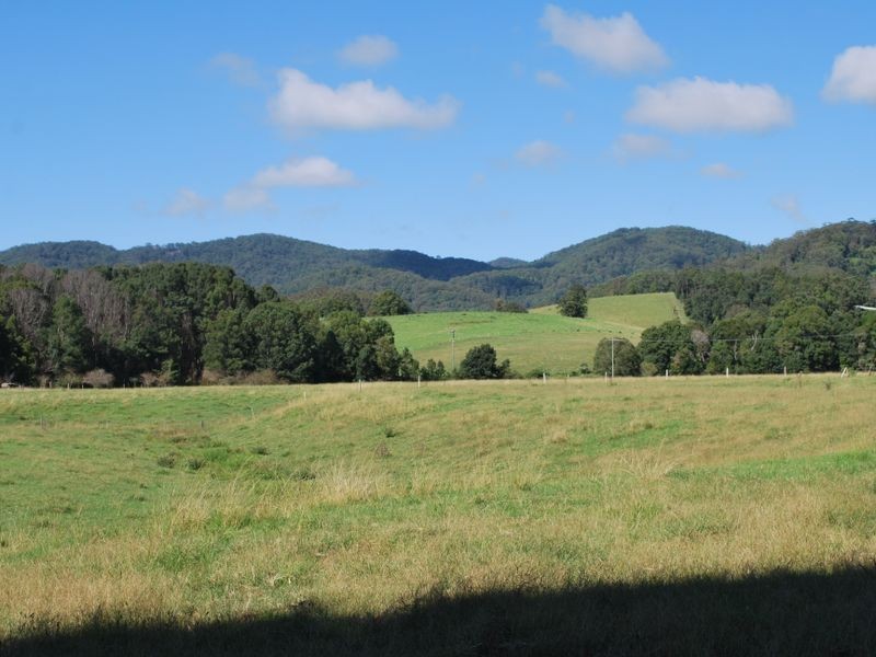 219a South Island Loop Road, Upper Orara NSW 2450