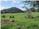 219a South Island Loop Road, Upper Orara NSW 2450