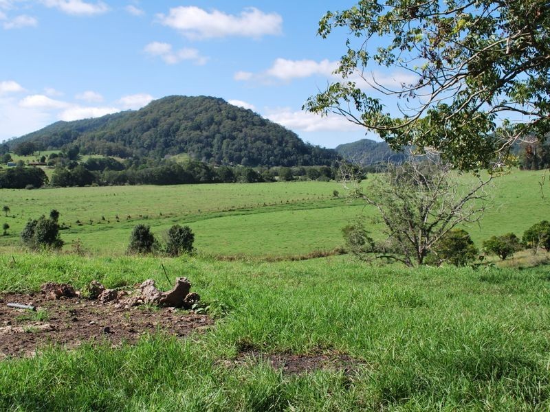 219a South Island Loop Road, Upper Orara NSW 2450