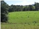 219a South Island Loop Road, Upper Orara NSW 2450