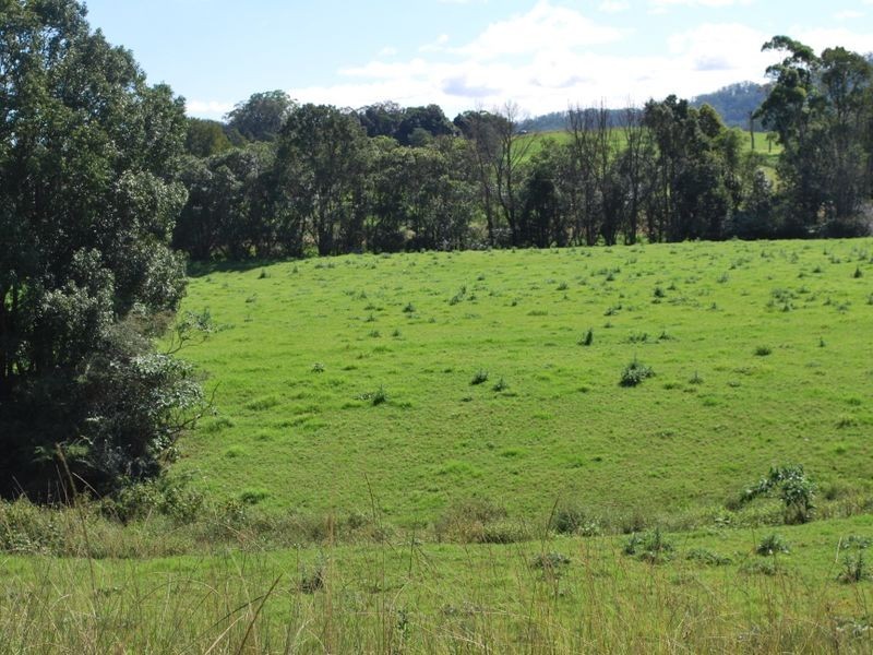 219a South Island Loop Road, Upper Orara NSW 2450