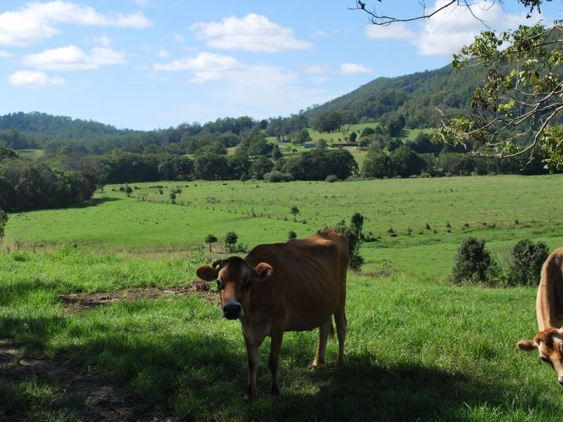 219a South Island Loop Road, Upper Orara NSW 2450