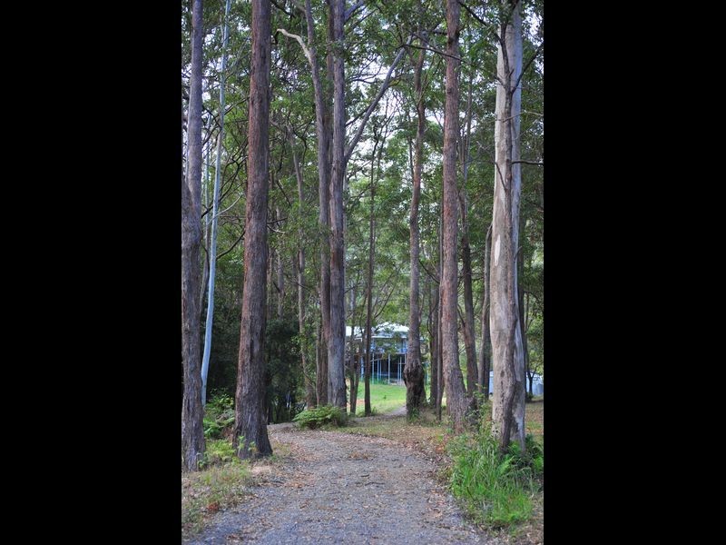 38 Skinner Close, Emerald Beach NSW 2456