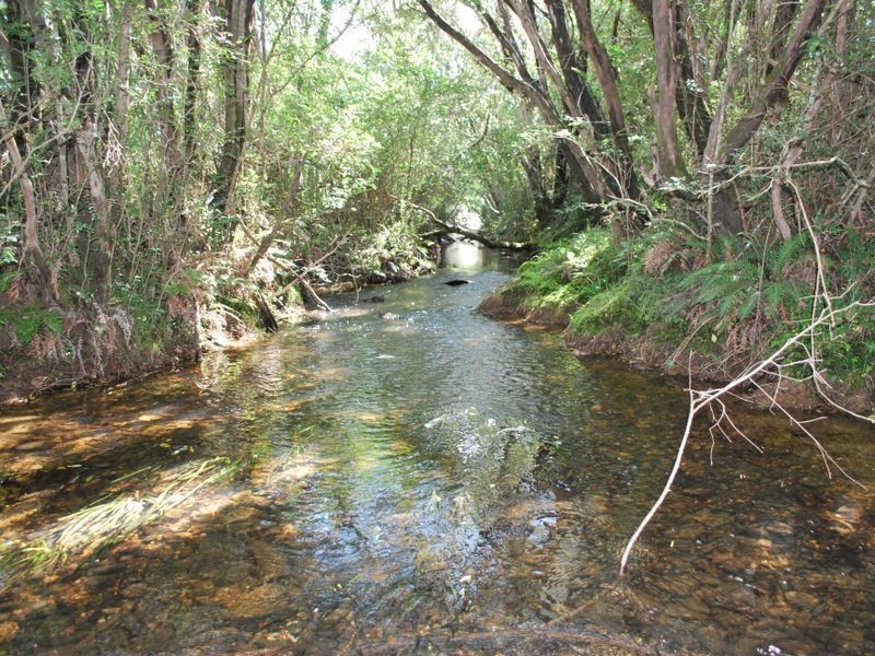 Lot 2 Grafton Road, Lowanna NSW 2450