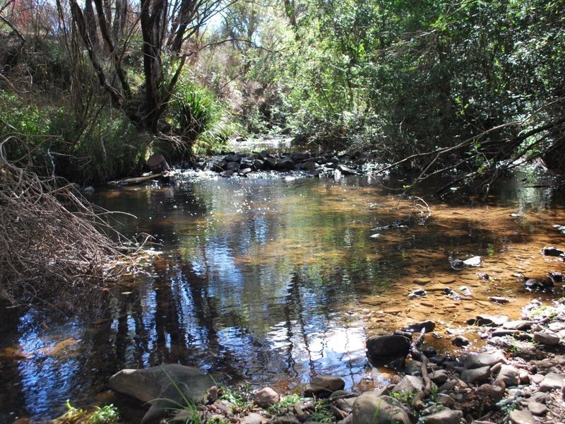 Lot 2 Grafton Road, Lowanna NSW 2450