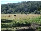 Lot 2 Grafton Road, Lowanna NSW 2450