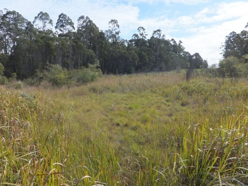 Lot 442 Bonnie Place, Alumy Creek NSW 2460
