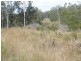 Lot 442 Bonnie Place, Alumy Creek NSW 2460