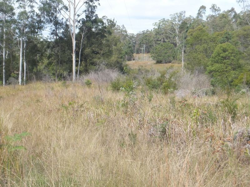 Lot 442 Bonnie Place, Alumy Creek NSW 2460