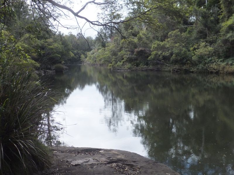 Lot 442 Bonnie Place, Alumy Creek NSW 2460