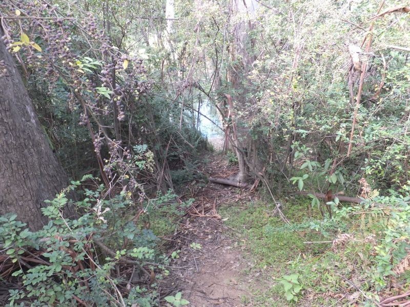 Lot 442 Bonnie Place, Alumy Creek NSW 2460