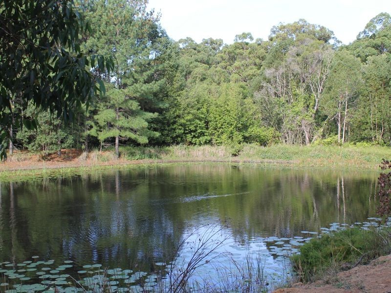 237 North Bonville Road, Bonville NSW 2441