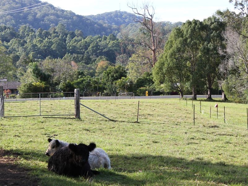 237 North Bonville Road, Bonville NSW 2441