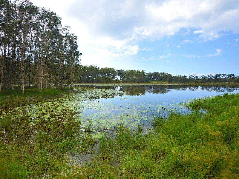 10 Lake Russell Drive, Emerald Beach NSW 2456