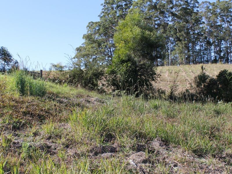 3 Red Gum Crescent, Bellingen NSW 2454