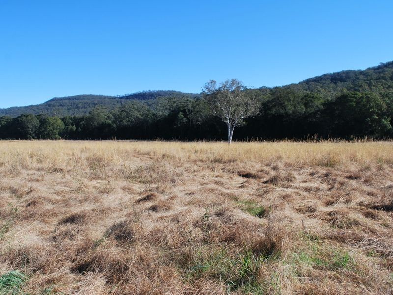 Lot 1 Tallawudjah Creek Road, Glenreagh NSW 2450