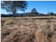 Lot 1 Tallawudjah Creek Road, Glenreagh NSW 2450