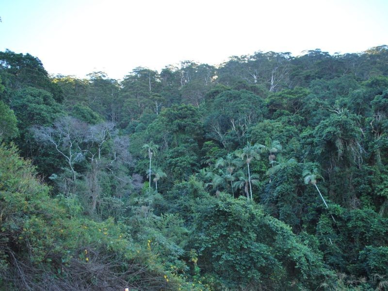 Lot 4 89 Rippingale Road, Korora NSW 2450