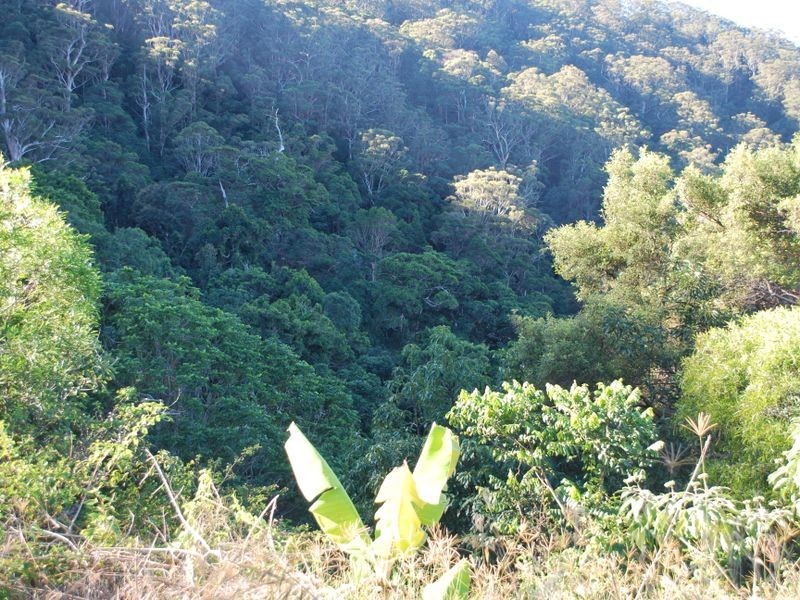 Lot 4 89 Rippingale Road, Korora NSW 2450