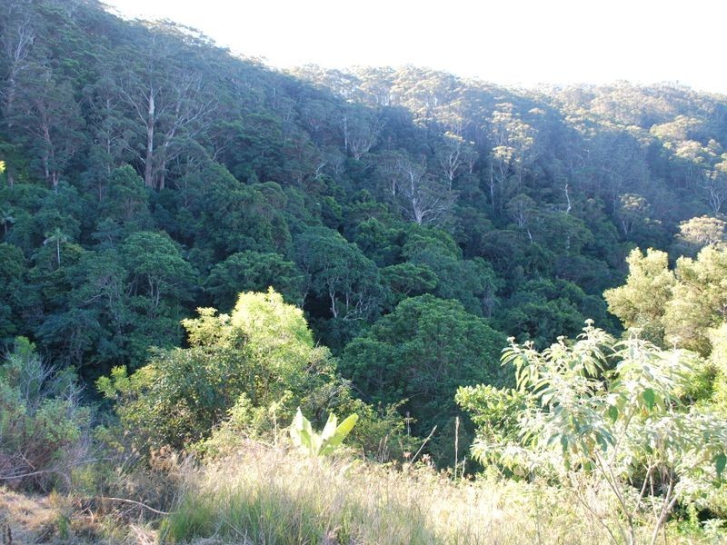 Lot 4 89 Rippingale Road, Korora NSW 2450