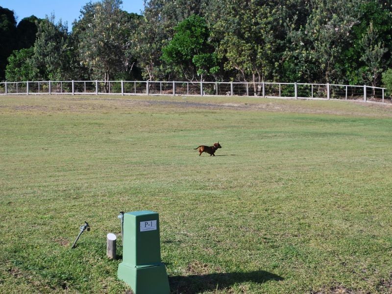 Lot 3a Beach Way, Sapphire Beach NSW 2450