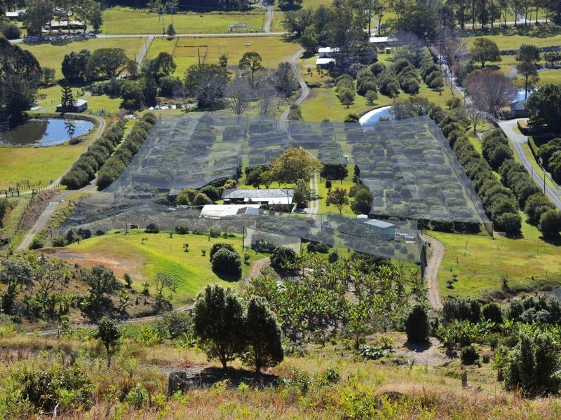 169 South Boambee Road, Boambee NSW 2450