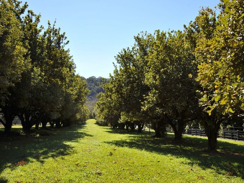 169 South Boambee Road, Boambee NSW 2450