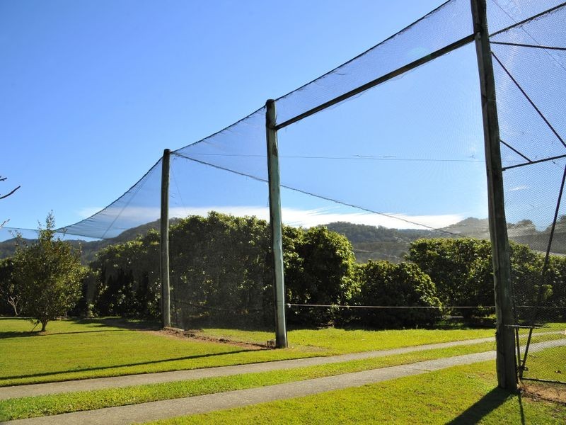 169 South Boambee Road, Boambee NSW 2450