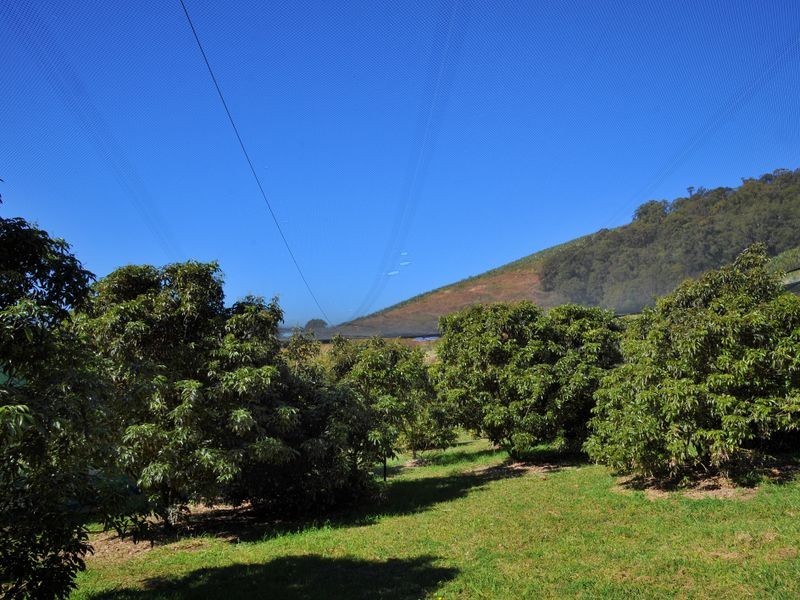 169 South Boambee Road, Boambee NSW 2450