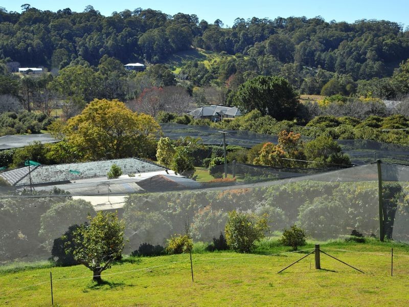 169 South Boambee Road, Boambee NSW 2450