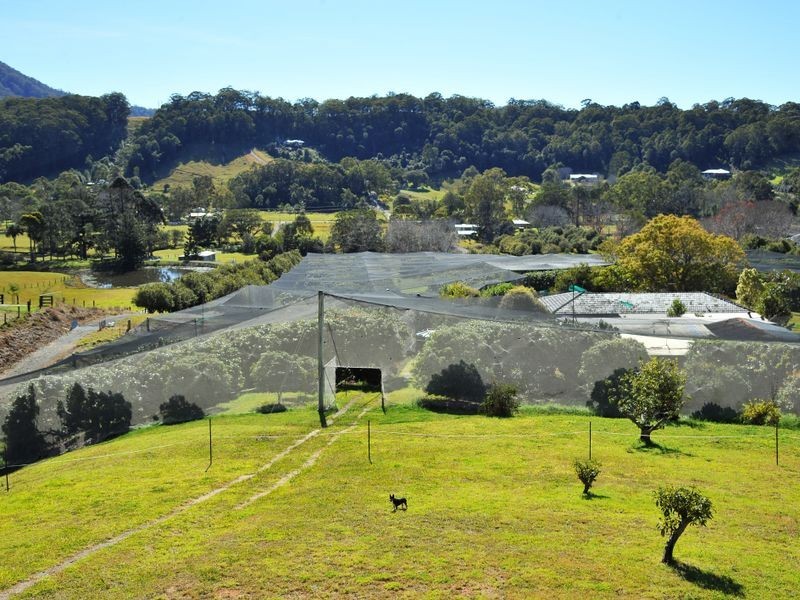 169 South Boambee Road, Boambee NSW 2450