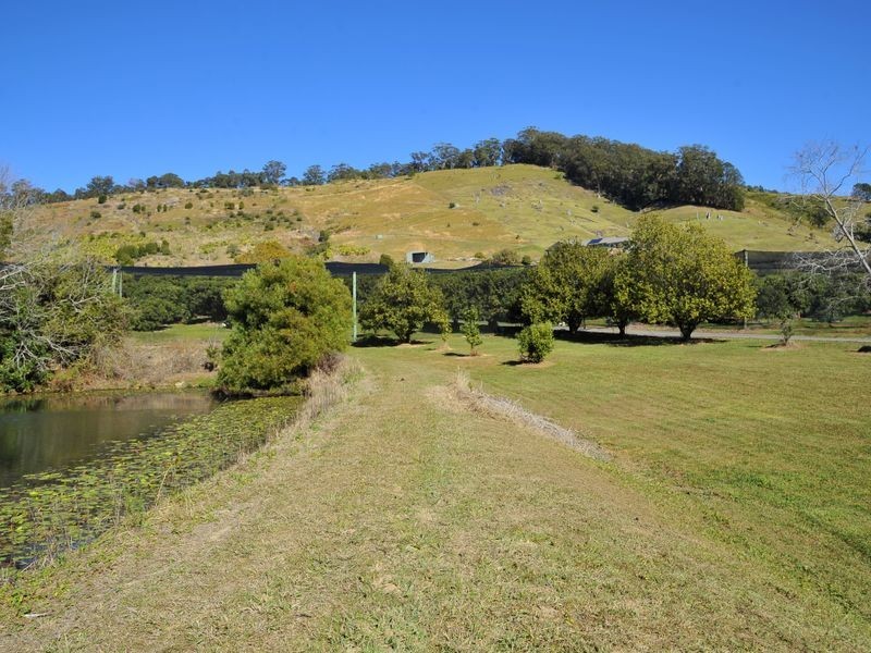 169 South Boambee Road, Boambee NSW 2450