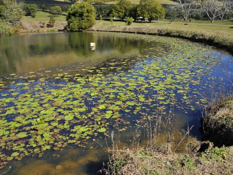 169 South Boambee Road, Boambee NSW 2450