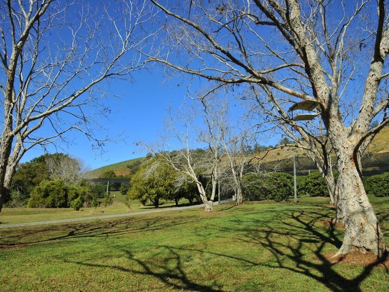 169 South Boambee Road, Boambee NSW 2450