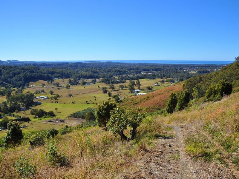 169 South Boambee Road, Boambee NSW 2450