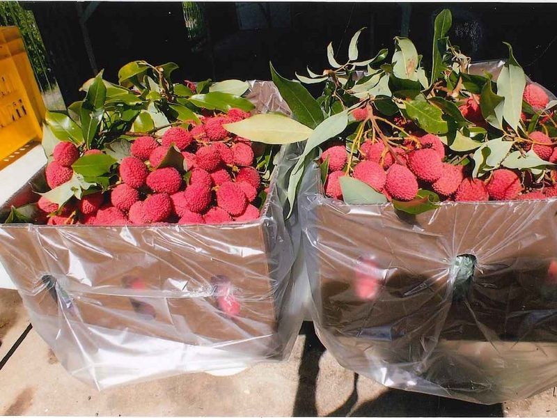 169 South Boambee Road, Boambee NSW 2450