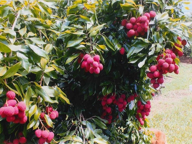 169 South Boambee Road, Boambee NSW 2450