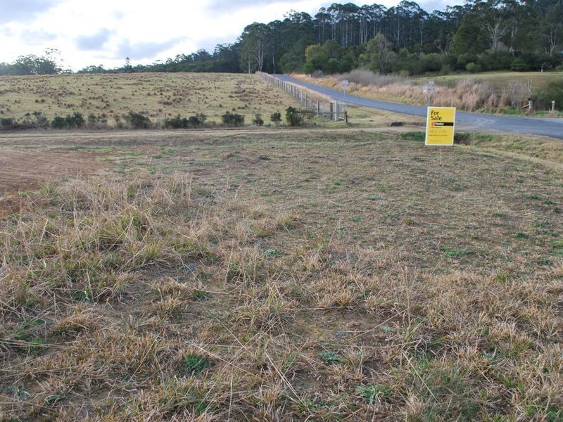 51 Grafton Street, Lowanna NSW 2450