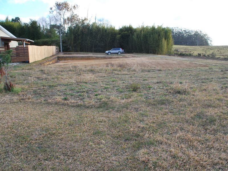 51 Grafton Street, Lowanna NSW 2450