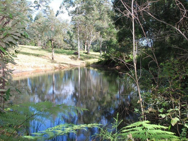 203 Moleton Road, Lowanna NSW 2450