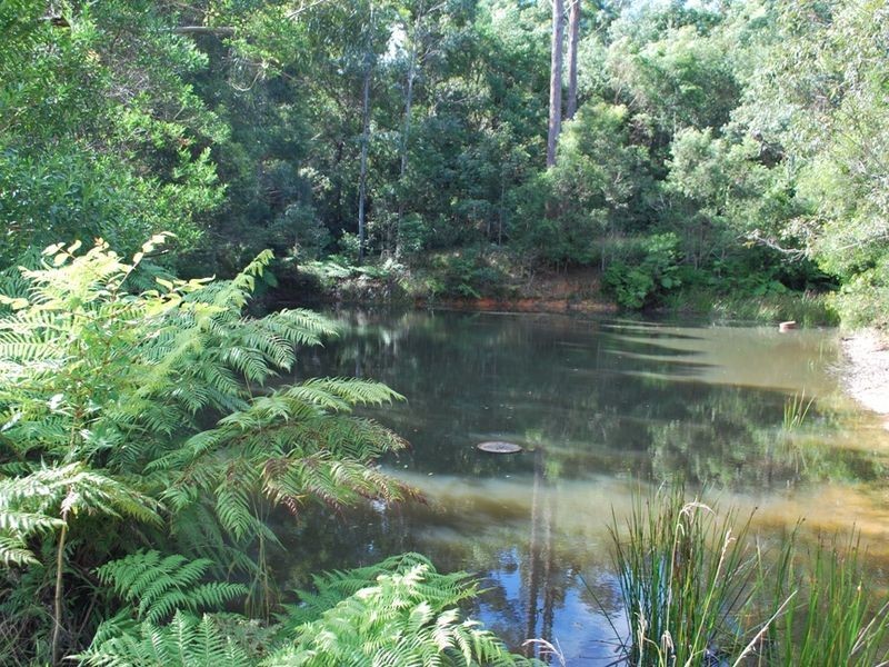 203 Moleton Road, Lowanna NSW 2450