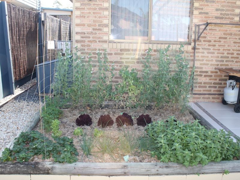 3 Evans Drive, Coffs Harbour NSW 2450