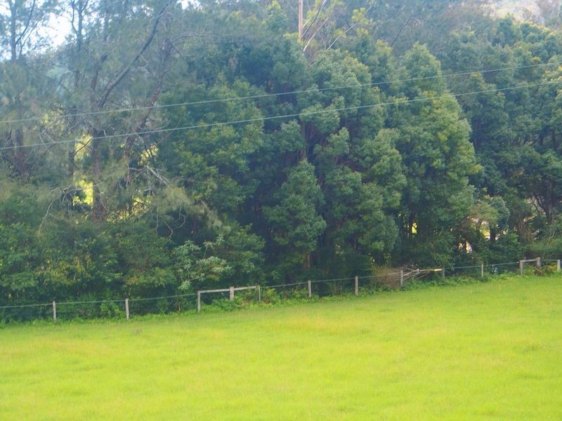 86 Hartleys Road, Karangi NSW 2450