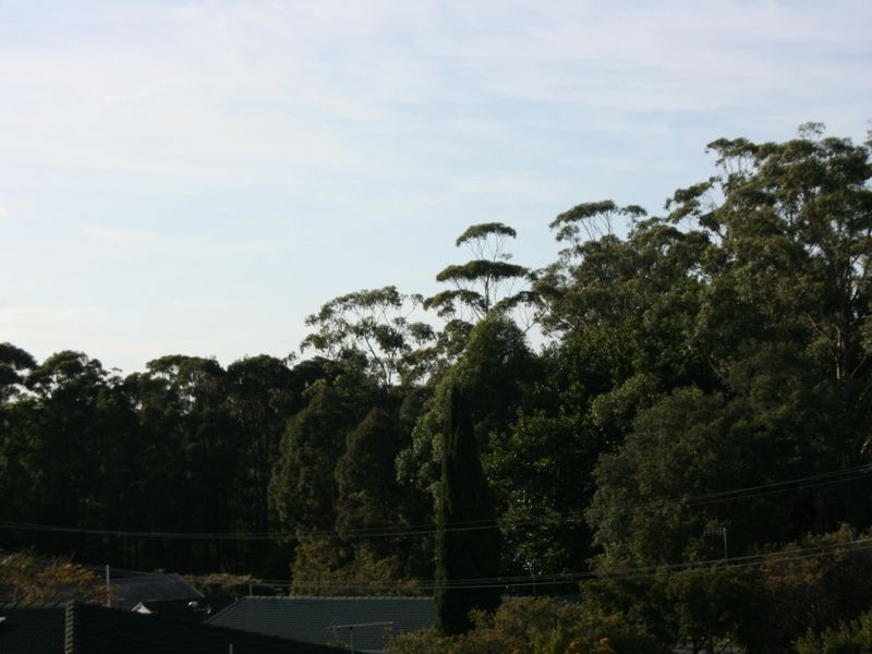 18 Hillview Crescent, Coffs Harbour NSW 2450