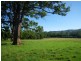 Lot 3 Rivendell Mews Off Orara Street, Nana Glen NSW 2450