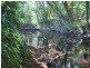 Lot 3 Rivendell Mews Off Orara Street, Nana Glen NSW 2450